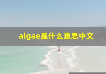 algae是什么意思中文