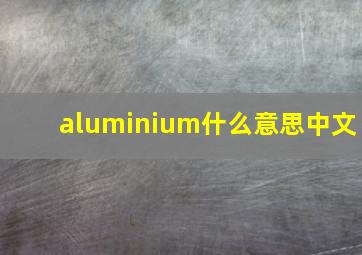 aluminium什么意思中文