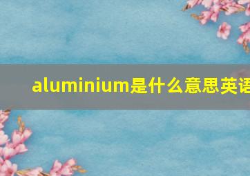 aluminium是什么意思英语