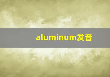 aluminum发音