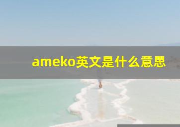 ameko英文是什么意思