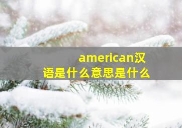 american汉语是什么意思是什么