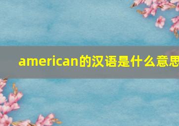 american的汉语是什么意思