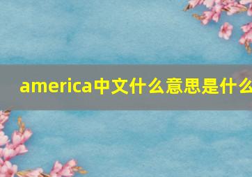 america中文什么意思是什么