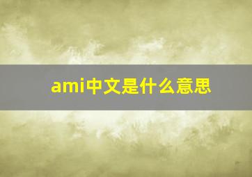 ami中文是什么意思