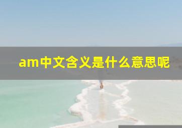 am中文含义是什么意思呢