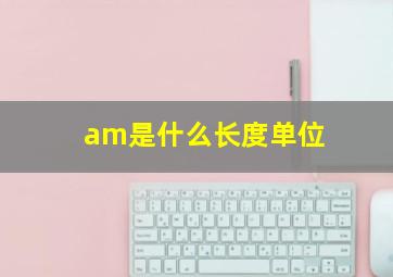 am是什么长度单位