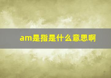 am是指是什么意思啊