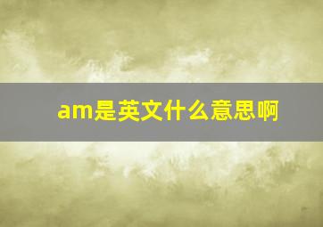 am是英文什么意思啊