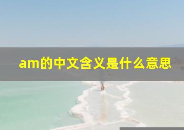 am的中文含义是什么意思