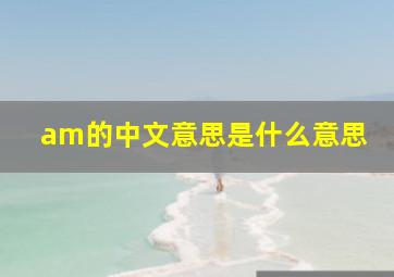 am的中文意思是什么意思