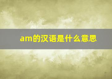 am的汉语是什么意思