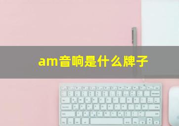 am音响是什么牌子