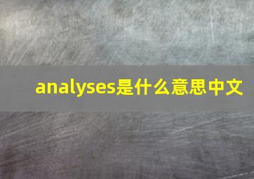 analyses是什么意思中文