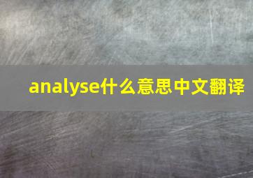 analyse什么意思中文翻译