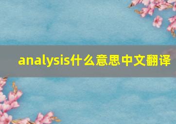 analysis什么意思中文翻译