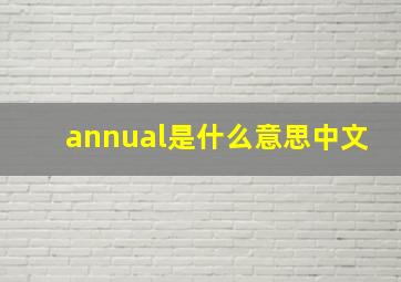 annual是什么意思中文