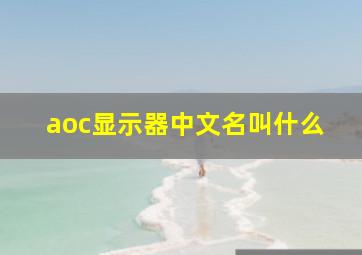 aoc显示器中文名叫什么