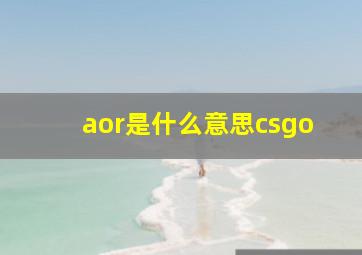 aor是什么意思csgo