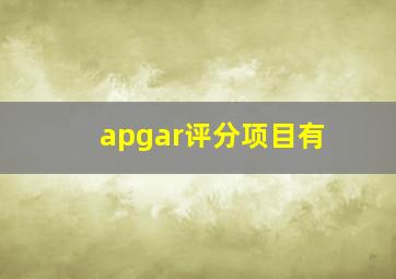 apgar评分项目有