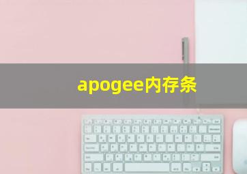 apogee内存条