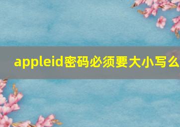 appleid密码必须要大小写么