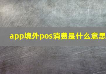 app境外pos消费是什么意思