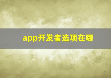 app开发者选项在哪