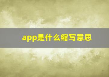 app是什么缩写意思