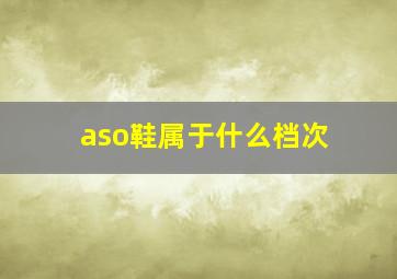 aso鞋属于什么档次