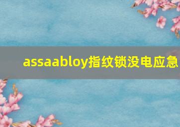 assaabloy指纹锁没电应急