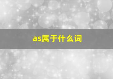 as属于什么词