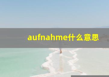 aufnahme什么意思