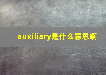 auxiliary是什么意思啊