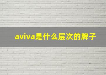 aviva是什么层次的牌子