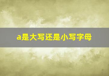 a是大写还是小写字母