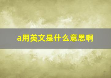 a用英文是什么意思啊