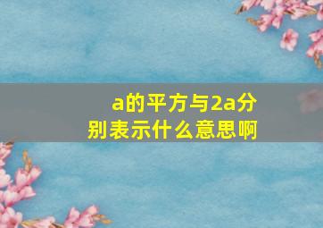 a的平方与2a分别表示什么意思啊