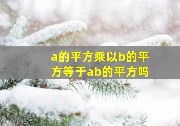 a的平方乘以b的平方等于ab的平方吗