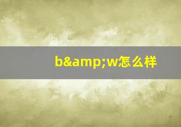 b&w怎么样