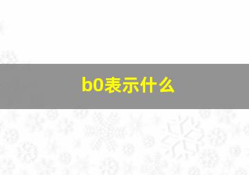 b0表示什么