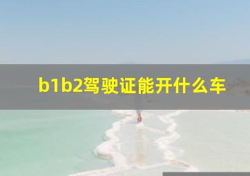 b1b2驾驶证能开什么车