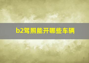 b2驾照能开哪些车辆