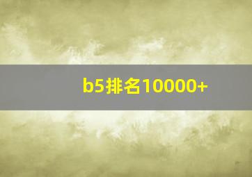 b5排名10000+