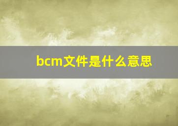 bcm文件是什么意思