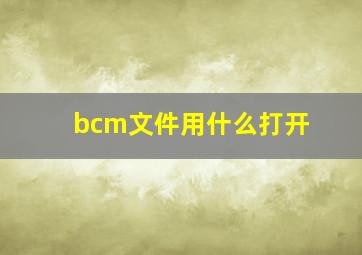 bcm文件用什么打开