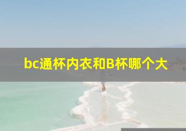 bc通杯内衣和B杯哪个大