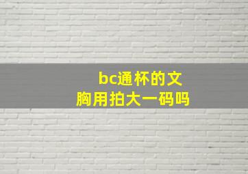 bc通杯的文胸用拍大一码吗