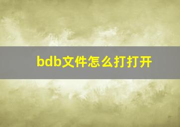 bdb文件怎么打打开