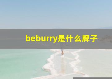 beburry是什么牌子